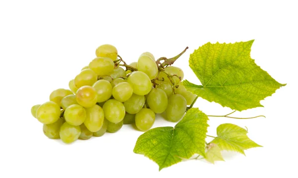 Grona winogron — Zdjęcie stockowe