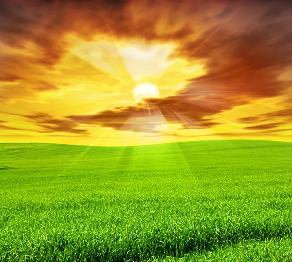 Creative sunset landscape — Stock Photo, Image