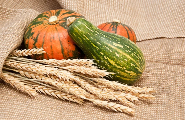 Pumpkins and wheat on a burlap background — Stock Photo, Image
