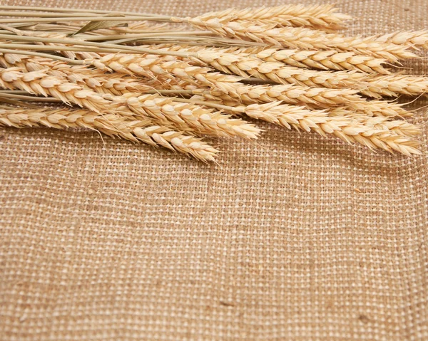 Wheat on a burlap background — Φωτογραφία Αρχείου