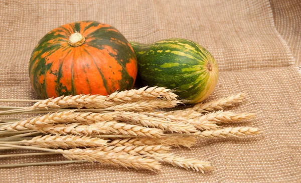 Pumpkins and wheat on a burlap background — Stock Photo, Image