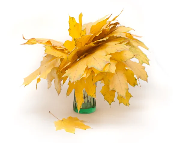 Gelber Herbstblätterstrauß — Stockfoto