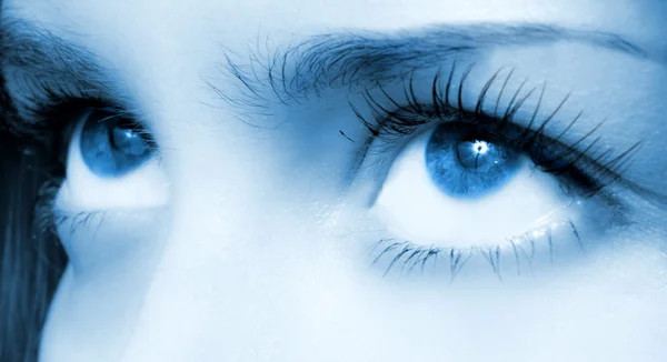 Un oeil bleu humain. macro tir — Photo