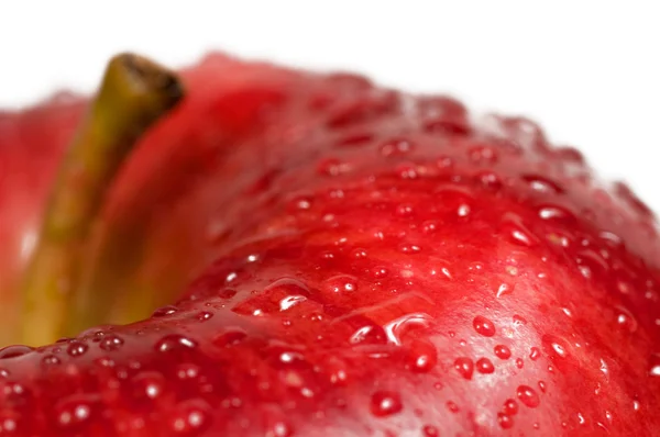 stock image Red apple on white background