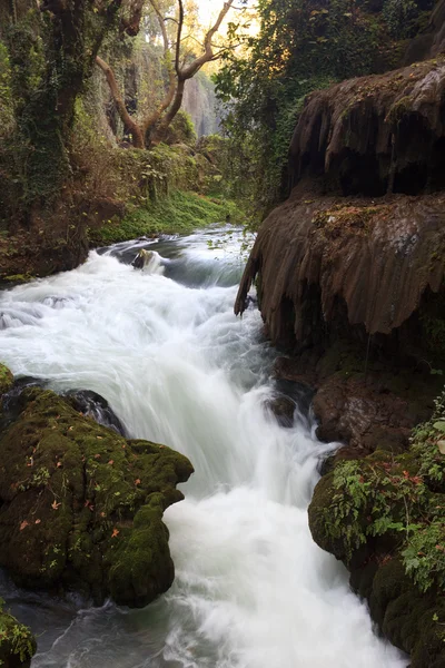 Park stream, Antalya, Turkey — Stock Photo, Image