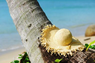 Hat on a beach clipart