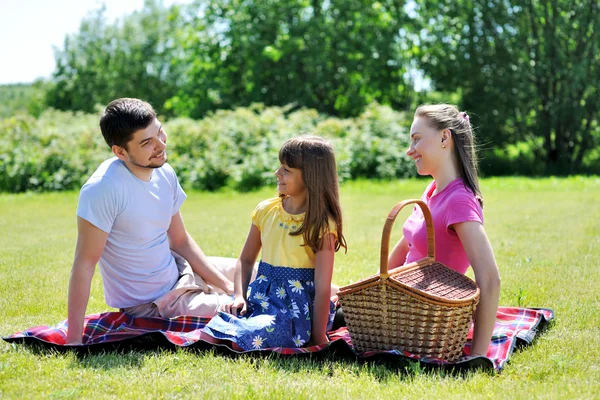 ピクニックに家族 ストック写真