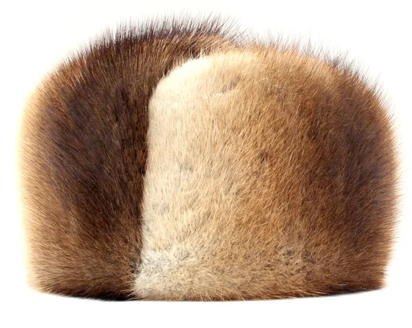 Vizon kürk şapka — Stok fotoğraf