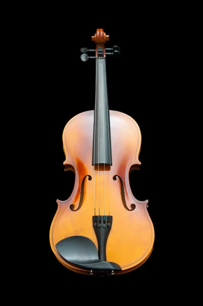 Concetto musicale con violino — Foto Stock
