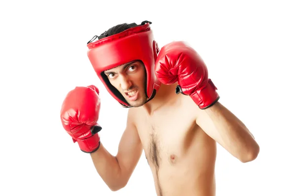 Lustige Boxer isoliert auf weiß — Stockfoto