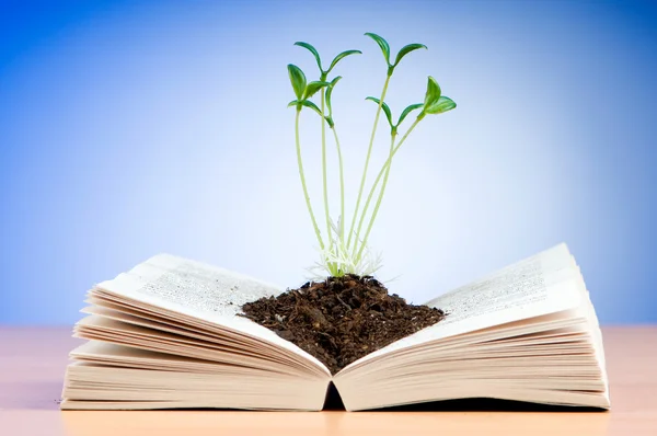 Plantor som växer från boken kunskap koncept — Stockfoto