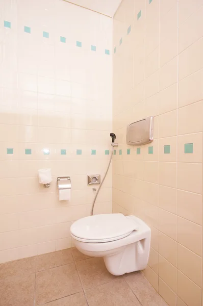 현대적인 욕실에는 변기 — 스톡 사진