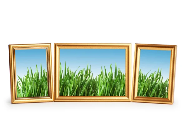Zöld fű a képkeretek — Stock Fotó