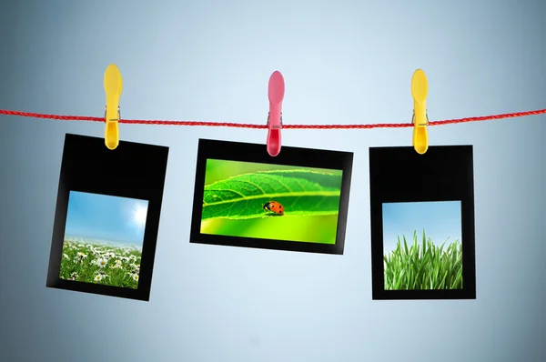 Nature photos in picture frames — Stock Photo, Image