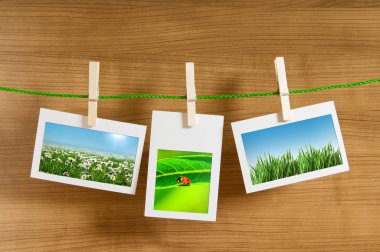 Nature photos in picture frames clipart