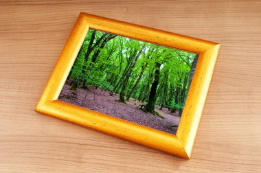 resim çerçeveleri üzerinde orman
