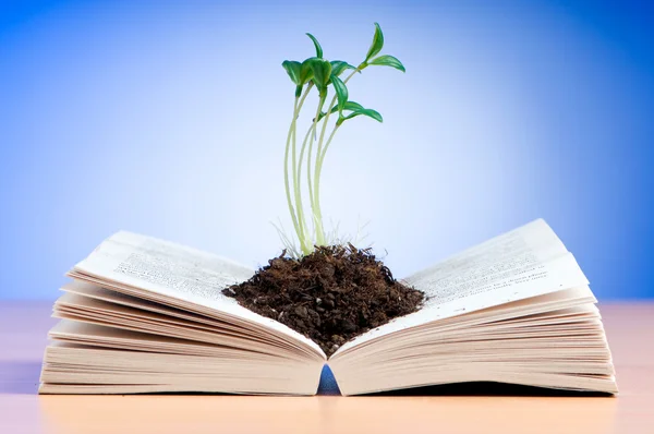 Seedlings growing from book in knowledge concept — Stock Photo, Image