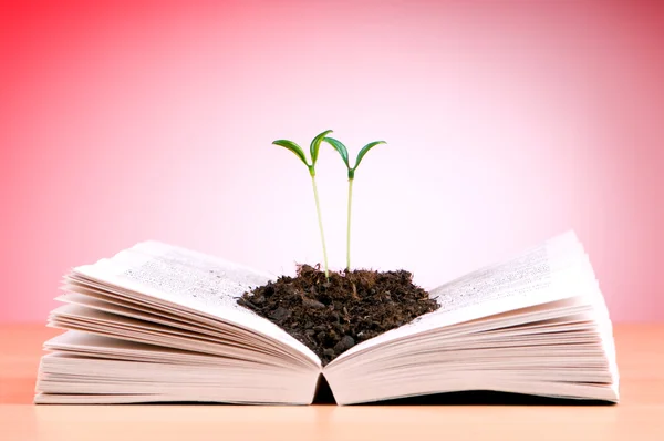 Plantor som växer från boken kunskap koncept — Stockfoto