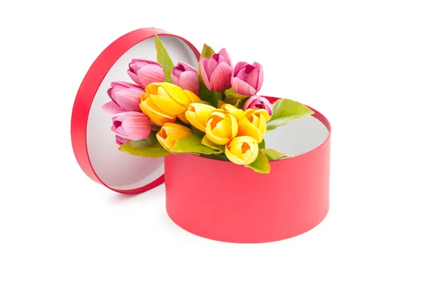 Caja de regalo y tulipanes aislados en blanco — Foto de Stock