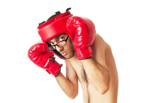 Funny boxer isolated on white — Stock Photo, Image