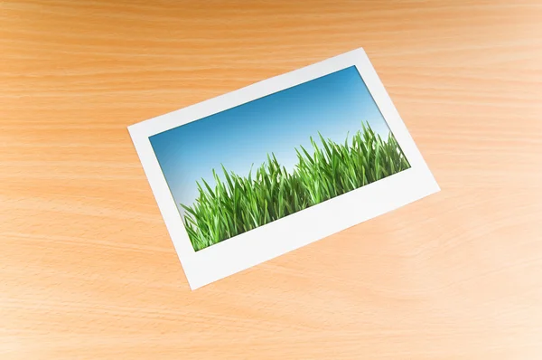 Grama verde na moldura da foto — Fotografia de Stock