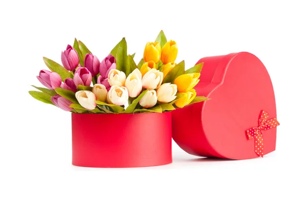 Giftbox and tulips isolated on white — Stock Photo, Image