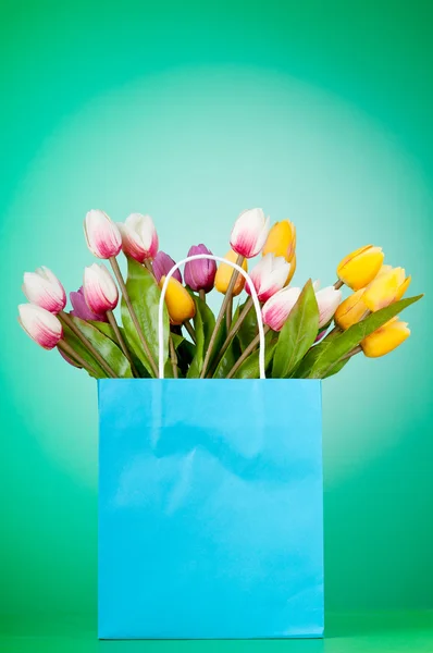 Tulpen im Sack vor Gradientenhintergrund — Stockfoto