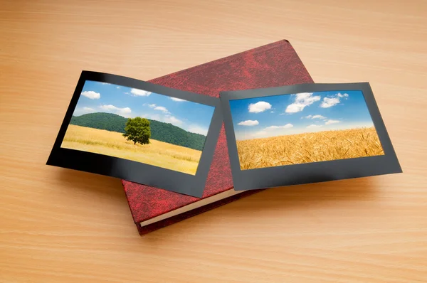 stock image Picture frames with nature photos