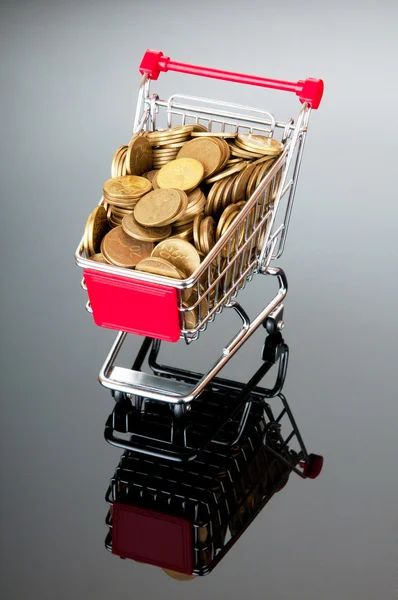 Carrito de compras y monedas de oro —  Fotos de Stock