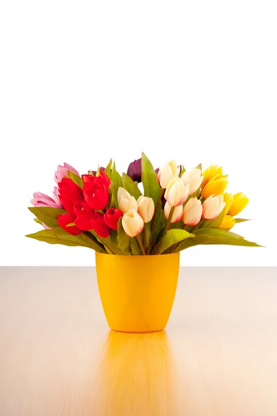 Květiny tulipány izolovaných na bílém — Stock fotografie