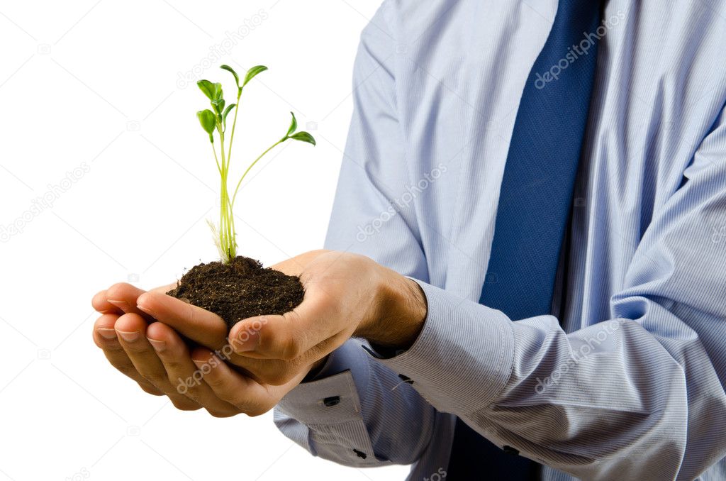 Young student holding green seedlings on white
