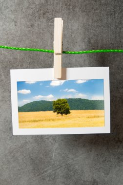 Picture frames with nature photos clipart