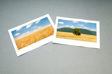 Picture frames with nature photos clipart