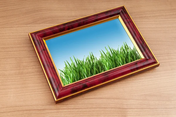 Groen gras op de PhotoFrame — Stockfoto