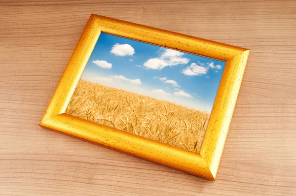 Resim çerçevesi alana buğday — Stok fotoğraf