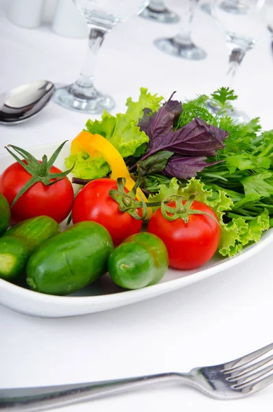 Ensalada de pepino y tomate en plato —  Fotos de Stock