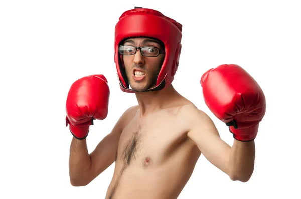 Funny boxer isolated on white — Stock Photo, Image