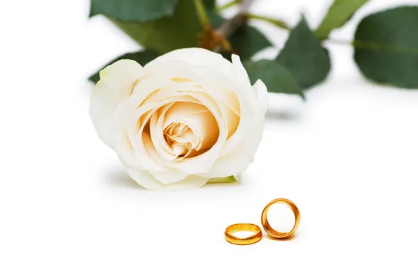 Wedding concept with roses and rings Stock Photo
