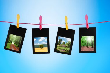 Picture frames with nature photos clipart