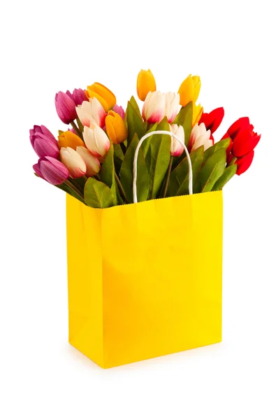 Tulipany w torbie na białym tle — Zdjęcie stockowe