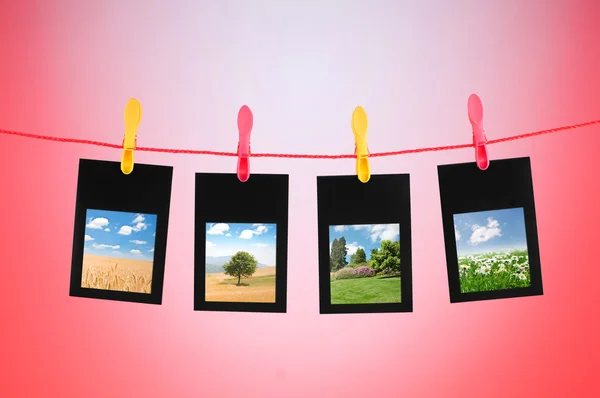 stock image Picture frames with nature photos