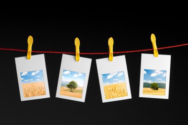 Doğa fotoğraflarıyla çerçeveler