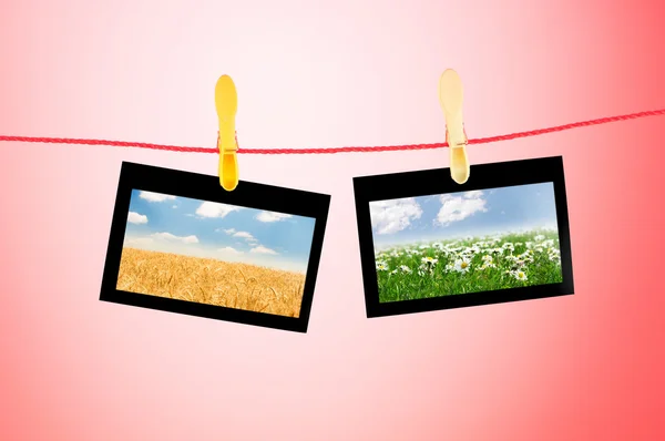 Picture frames with nature photos — Stock Photo, Image