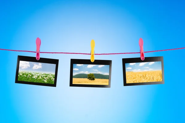 Picture frames with nature photos — Stock Photo, Image