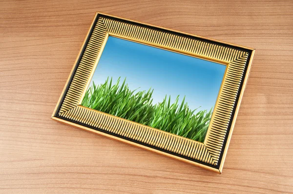 照片框架上的绿草 — 图库照片