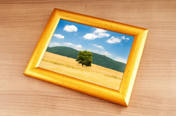 Forest on the picture frames — Stock Photo, Image