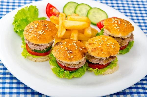 Burgers with french fries in plate — Stock Photo, Image