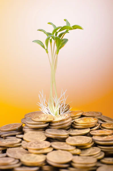 Finansiella begrepp med plantor och mynt — Stockfoto