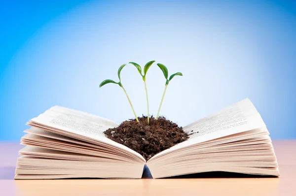 Kunskap koncept med böcker och plantor — Stockfoto