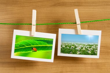 Nature photos in picture frames clipart